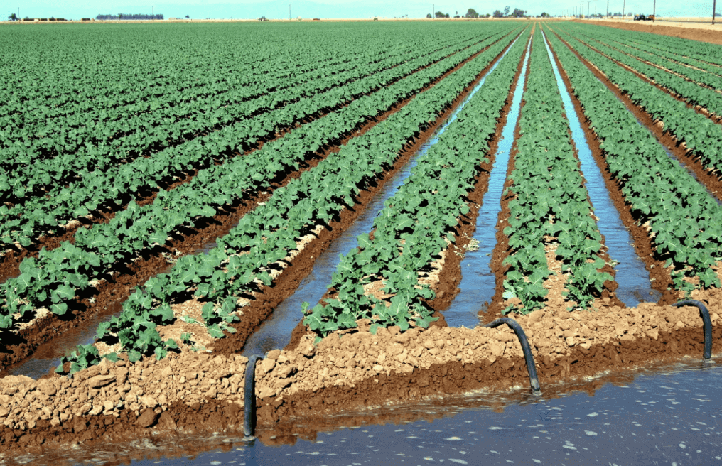 Scope of Irrigation Engineering
