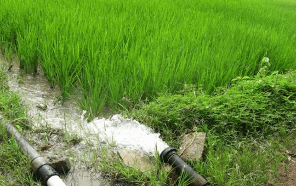 water requirement of crops