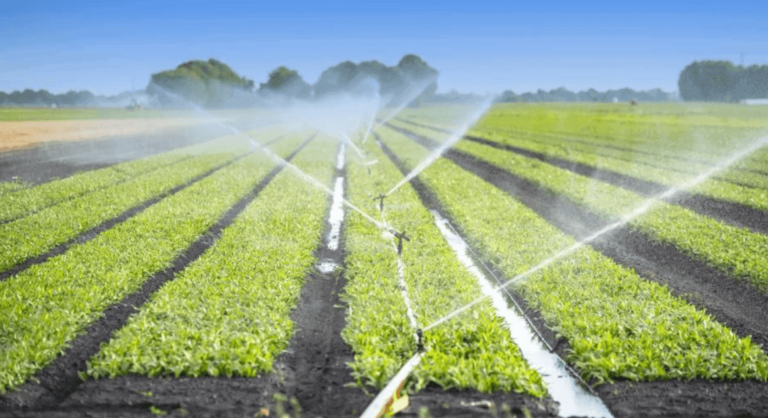 Types Of Irrigation System Drip Irrigation System Modern Methods