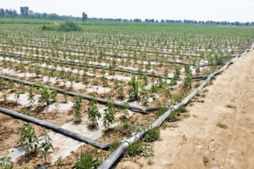 types of irrigation