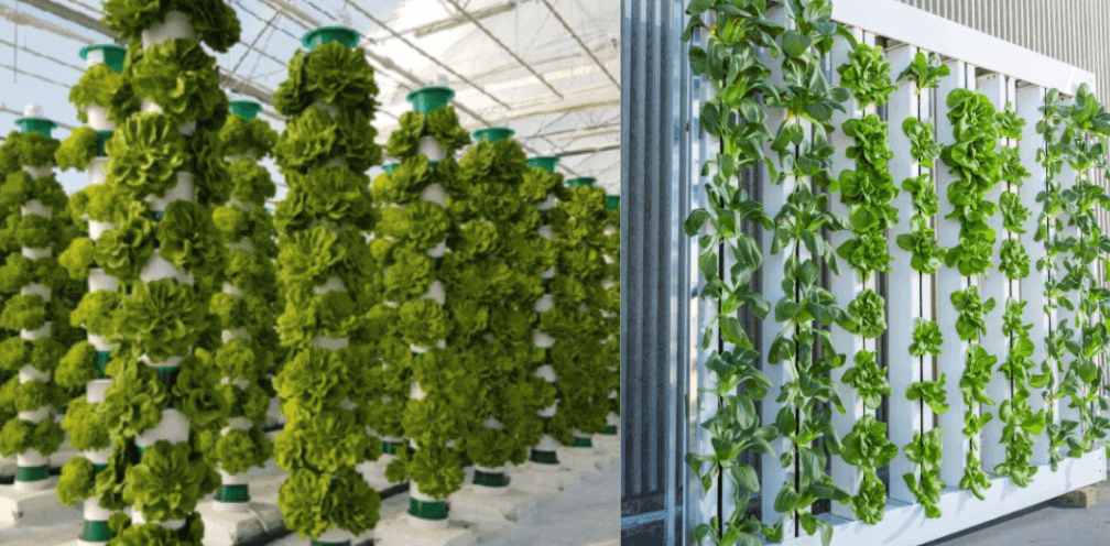 Vertical Farming at Home – Benefits, Equipment and Costs