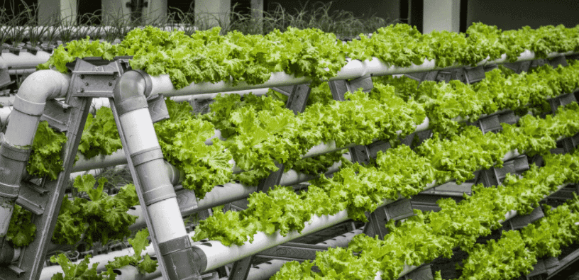 Vertical Farming At Home - Benefits, Equipment And Costs | CivilString